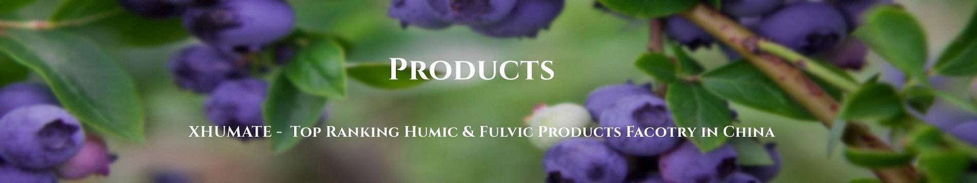 humic acid buy online